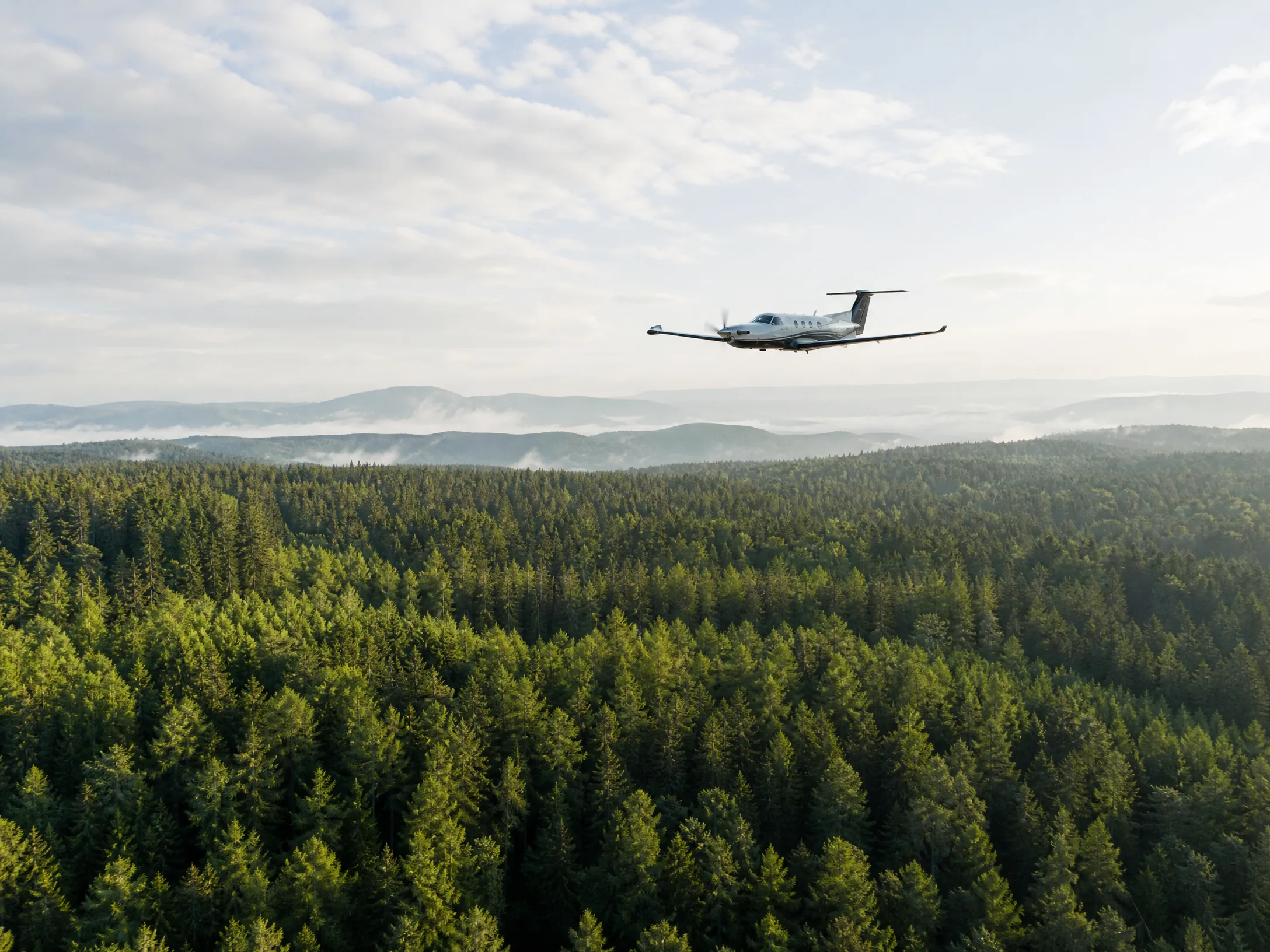 Aircraft flying above a healthy forest